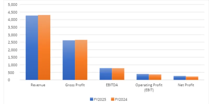 Financial Summary Table